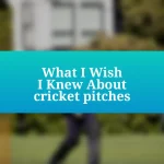 What I Wish I Knew About cricket pitches